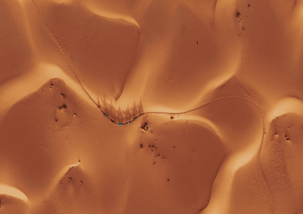 3 day marrakech desert tour