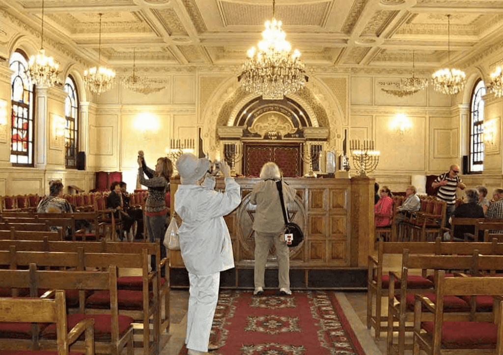 camel trekking with sunset