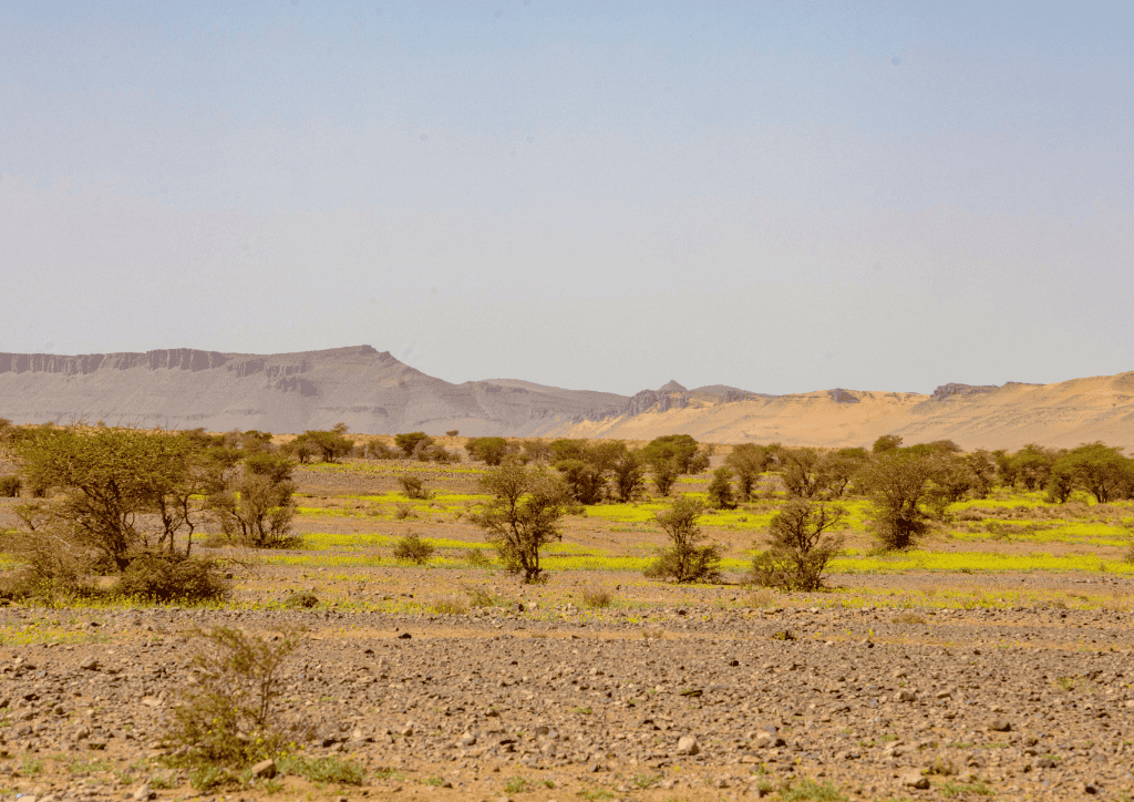 desert luxury tents morocco