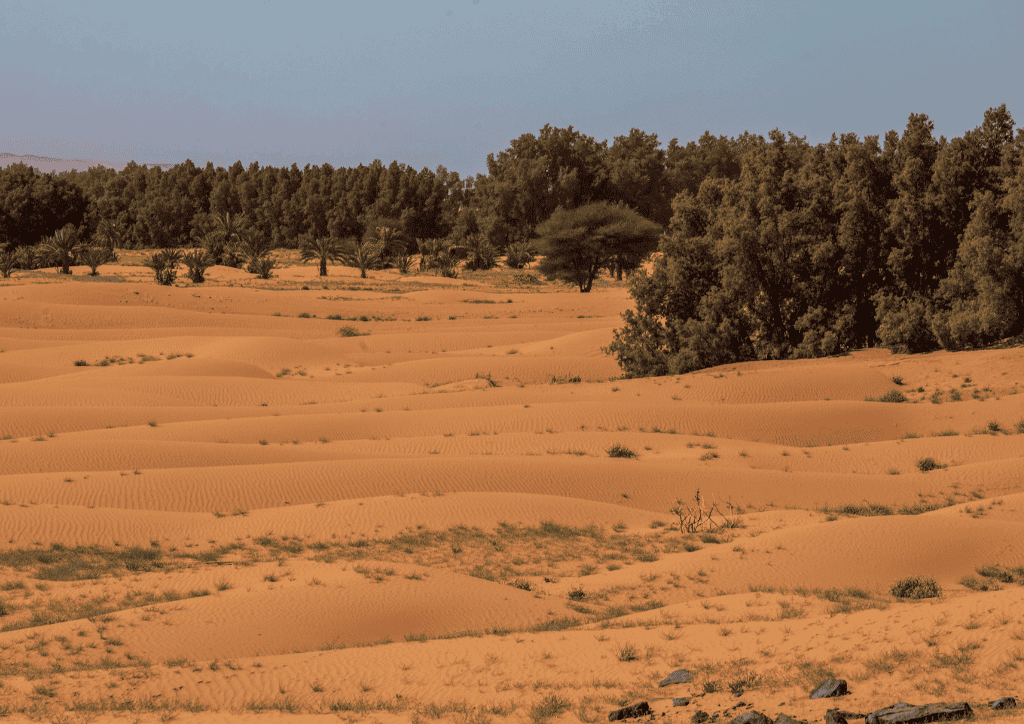 fes desert tour