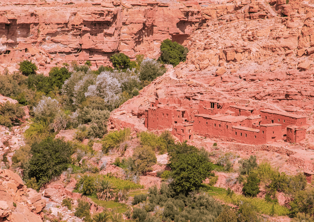 luxury merzouga desert safari