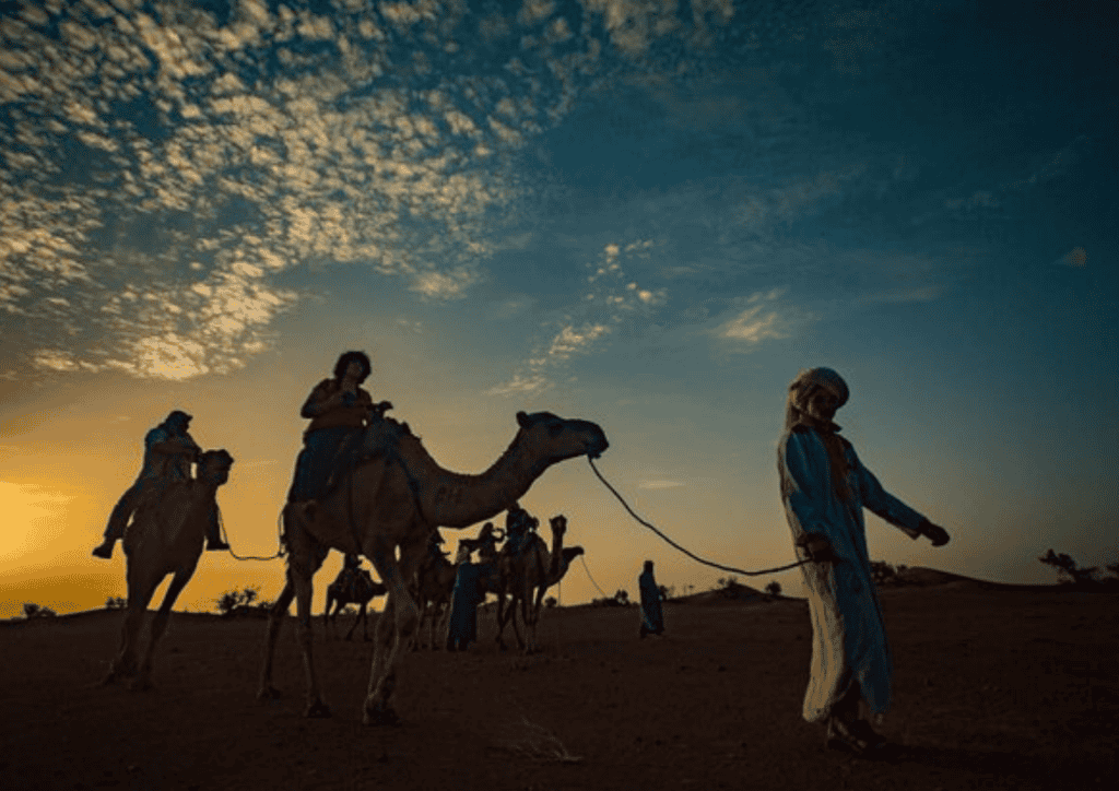 sahara desert camel safari