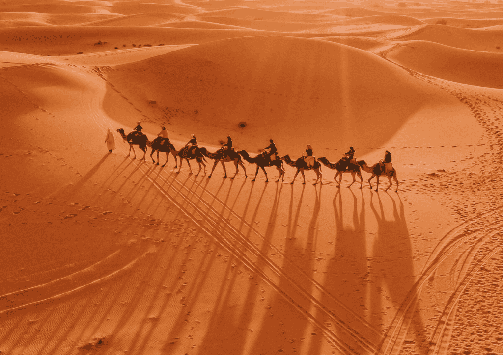 sahara desert guided tours