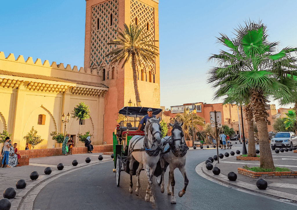 sahara star gazing tour