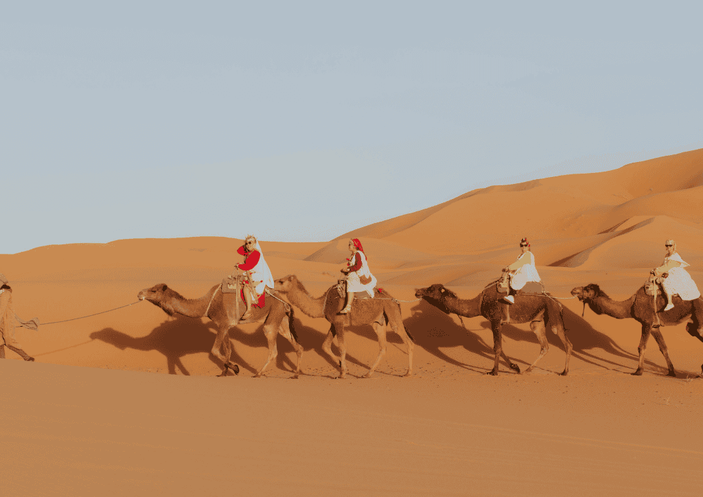 scenic desert tours morocco